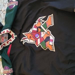 Original Phoenix Coyotes jersey